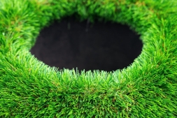 Топиари Черепаха с кашпо Бринхилда - газон Deluxe, фото 8