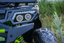 Квадроцикл MOTOLAND 200 Wild Track Lux ( Баланс. вал) (2021 Г.) Квадроцикл MOTOLAND 200 Wild Track Lux ( Баланс. вал) (2021 Г.)