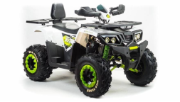 Квадроцикл MOTOLAND 200 Wild Track Lux ( Баланс. вал) (2021 Г.), фото 7 Квадроцикл MOTOLAND 200 Wild Track Lux ( Баланс. вал) (2021 Г.), фото 7