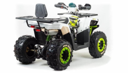 Квадроцикл MOTOLAND 200 Wild Track Lux ( Баланс. вал) (2021 Г.), фото 6 Квадроцикл MOTOLAND 200 Wild Track Lux ( Баланс. вал) (2021 Г.), фото 6