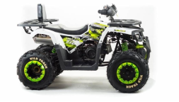 Квадроцикл MOTOLAND 200 Wild Track Lux ( Баланс. вал) (2021 Г.), фото 5 Квадроцикл MOTOLAND 200 Wild Track Lux ( Баланс. вал) (2021 Г.), фото 5