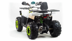 Квадроцикл MOTOLAND 200 Wild Track Lux ( Баланс. вал) (2021 Г.), фото 4 Квадроцикл MOTOLAND 200 Wild Track Lux ( Баланс. вал) (2021 Г.), фото 4