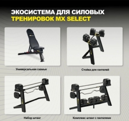 Комплект увеличения веса пары MX70-100 EVO до MX100 EVO, 12 дисков , фото 5