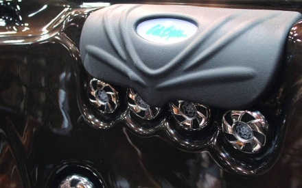 Спа-бассейн Cal Spas Avalon Plus EP-864LE, фото 6