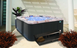 Спа-бассейн Cal Spas Avalon Plus EP-864LE, фото 2