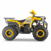 Квадроцикл WELS ATV Thunder Trail 200 Квадроцикл WELS ATV Thunder Trail 200