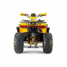 Квадроцикл WELS ATV Thunder Trail 200 Квадроцикл WELS ATV Thunder Trail 200