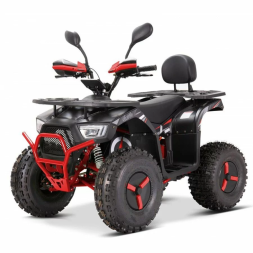 Квадроцикл YACOTA Sirius 2000W, фото 1