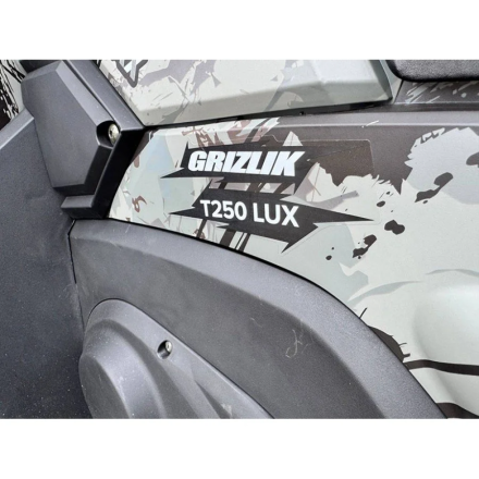 Квадроцикл MOTAX ATV Grizlik T 250 Pro, фото 22