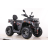 Квадроцикл MOTAX ATV Grizlik T 250 Pro