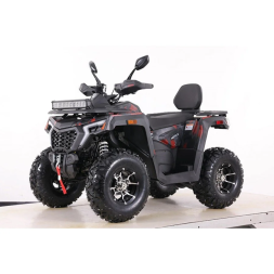 Квадроцикл MOTAX ATV Grizlik T 250 Pro, фото 1