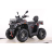 Квадроцикл MOTAX ATV Grizlik T 250 Pro