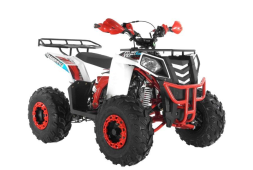Квадроцикл WELS Thunder EVO X ST, фото 2