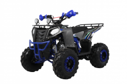 Квадроцикл WELS Thunder EVO X ST, фото 1