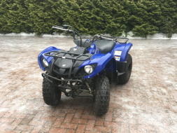 Квадроцикл GRIZZLY 125, фото 10