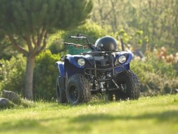 Квадроцикл GRIZZLY 125, фото 6