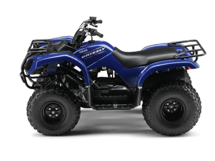 Квадроцикл GRIZZLY 125, фото 2