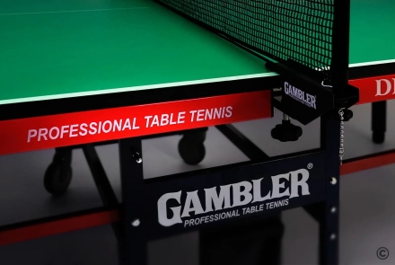 Теннисный стол Dragon Зелёный, фото 5