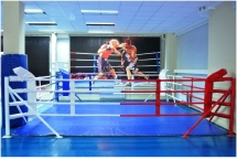 Ринги напольные на упорах или растяжках Hercules 6262 разных размеров 