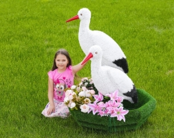 Топиари Аисты в гнезде, семья газон Eco, фото 10