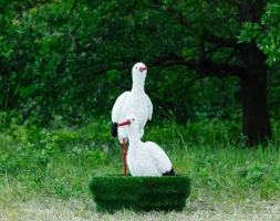 Топиари Аисты в гнезде, семья газон Eco, фото 5