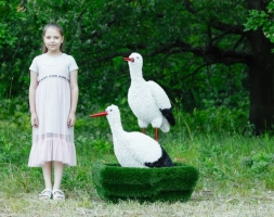 Топиари Аисты в гнезде, семья газон Eco, фото 6