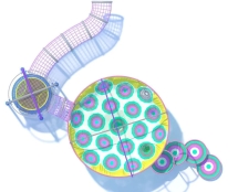 Вязаный комплекс Волшебный мир Вязаный комплекс Волшебный мир