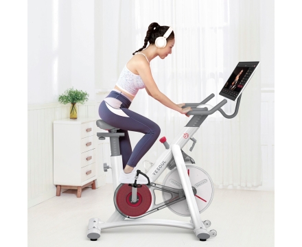 Велотренажер Yesoul BS3-W PRO PLUS, фото 6