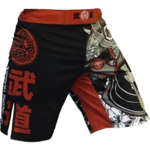 Шорты Hardcore Training hctshorts026