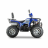 Квадроцикл WELS ATV Thunder Trail 200 Pro