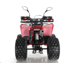 Квадроцикл WELS Thunder EVO X, фото 5