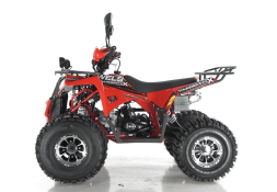 Квадроцикл WELS Thunder EVO X, фото 4