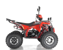 Квадроцикл WELS Thunder EVO X, фото 3