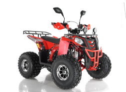Квадроцикл WELS Thunder EVO X, фото 2
