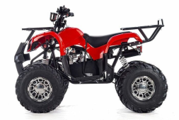 Квадроцикл RAPTOR Max Pro 150, фото 2