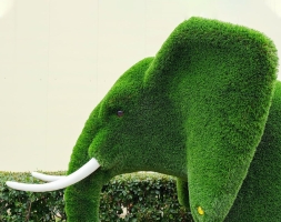 Топиари слон Марти - газон Deluxe, фото 3