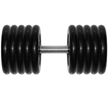 Гантель Barbell 51 кг профи