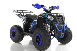 Квадроцикл WELS Thunder EVO, фото 5