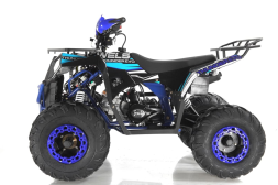 Квадроцикл WELS Thunder EVO, фото 2