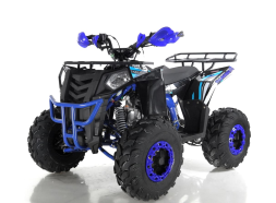 Квадроцикл WELS Thunder EVO, фото 1