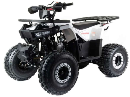 Квадроцикл MOTOLAND ATV 125 Storm, фото 1