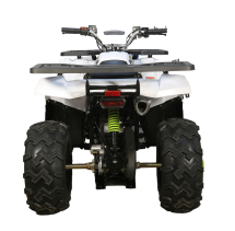 Квадроцикл AVANTIS H200 NEW (Баланс. вал)