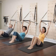 Настенный модуль в комплекте с выступающей перекладиной Balanced Body Springboard Настенный модуль в комплекте с выступающей перекладиной Balanced Body Springboard