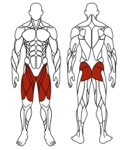 Жим ногами двойной (серый) СТ 032-13 Жим ногами двойной (серый) СТ 032-13
