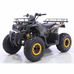 Квадроцикл MOTAX ATV Grizlik T200, фото 13