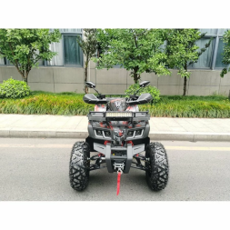 Квадроцикл MOTAX ATV Grizlik T200, фото 9