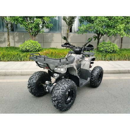Квадроцикл MOTAX ATV Grizlik T200, фото 4