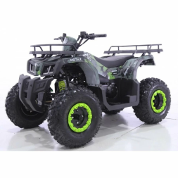 Квадроцикл MOTAX ATV Grizlik T200, фото 1