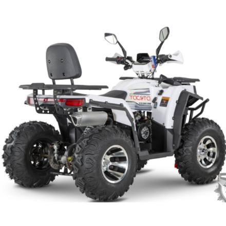 Квадроцикл YACOTA VIKING PRO, фото 3