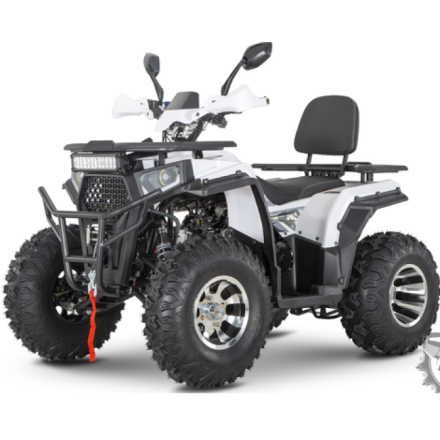Квадроцикл YACOTA VIKING PRO, фото 1